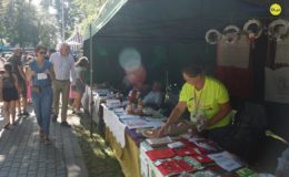Koncerty, zlot i dobra zabawa.  Działdowskiego Jarmarku Antyków, Rękodzieła i Zdrowej Żywności