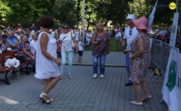 Koncerty, zlot i dobra zabawa.  Działdowskiego Jarmarku Antyków, Rękodzieła i Zdrowej Żywności