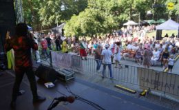 Koncerty, zlot i dobra zabawa.  Działdowskiego Jarmarku Antyków, Rękodzieła i Zdrowej Żywności