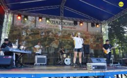 Koncerty, zlot i dobra zabawa.  Działdowskiego Jarmarku Antyków, Rękodzieła i Zdrowej Żywności