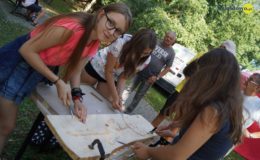 Koncerty, zlot i dobra zabawa.  Działdowskiego Jarmarku Antyków, Rękodzieła i Zdrowej Żywności