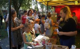 Koncerty, zlot i dobra zabawa.  Działdowskiego Jarmarku Antyków, Rękodzieła i Zdrowej Żywności