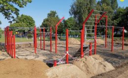 Działdowska Faktoria Siły – Street Workout