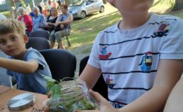 Warsztaty artystyczne „Moje Miasto”