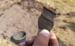 Archeolodzy w akcji