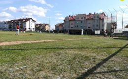 Yankeesi Działdowo po zwycięstwach z Lisami Białystok  już w „ósemce” Bałtyckiej Ligi Baseballu
