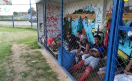 Yankeesi Działdowo po zwycięstwach z Lisami Białystok  już w „ósemce” Bałtyckiej Ligi Baseballu