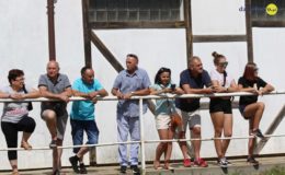 Zawody konne w skokach przez przeszkody