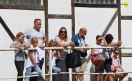 Zawody konne w skokach przez przeszkody
