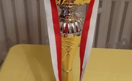 Yankeesi Działdowo brązowymi medalistami w Międzywojewódzkich Mistrzostwach Młodzików  baseballu