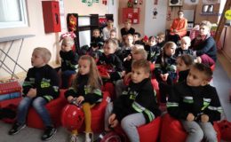 Salka edukacyjna w Straży Pożarnej