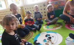 Cittaslow w Przedszkolu nr 4 w Działdowie