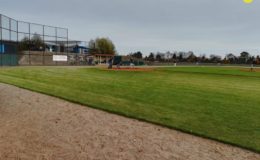 Baseballiści Yankees Działdowo zakończyli sezon na IV miejscu w Bałtyckiej Lidze Baseballu