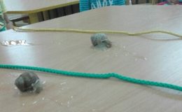 Obchody Międzynarodowego Tygodnia Cittaslow w Przedszkolu nr 5