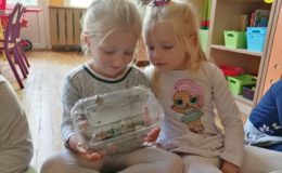 Obchody Międzynarodowego Tygodnia Cittaslow w Przedszkolu nr 5