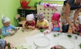 Zdrowe jedzenie jest teraz w cenie – realizacja programu