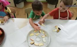 Zdrowe jedzenie jest teraz w cenie – realizacja programu