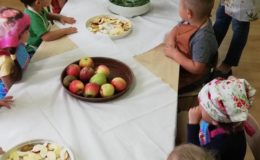 Zdrowe jedzenie jest teraz w cenie – realizacja programu