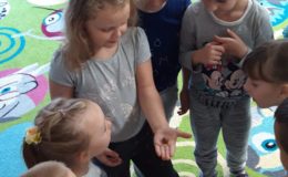 Cittaslow w Przedszkolu nr 4 w Działdowie