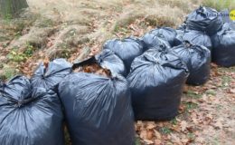 Uczniowie szkoły Zespołu Szkół nr 2 włączyli się w akcję „Szkoła pamięta”