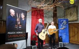Koncert gitarowy i lekcje otwarte [zdjęcia]
