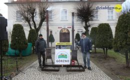 Odpalenie choinki na działdowskim rynku