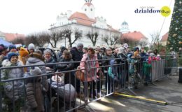 Odpalenie choinki na działdowskim rynku