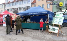 Odpalenie choinki na działdowskim rynku