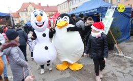 Odpalenie choinki na działdowskim rynku