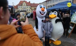 Odpalenie choinki na działdowskim rynku
