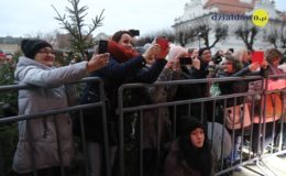 Odpalenie choinki na działdowskim rynku
