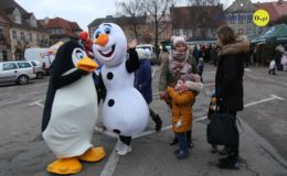 Odpalenie choinki na działdowskim rynku