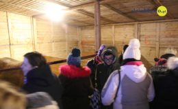 Odpalenie choinki na działdowskim rynku