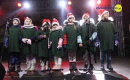 Odpalenie choinki na działdowskim rynku