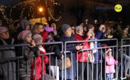 Odpalenie choinki na działdowskim rynku