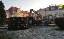 Przed działdowskim Ratuszem stoi już choinka [zdjęcia, film]