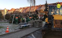 Przed działdowskim Ratuszem stoi już choinka [zdjęcia, film]