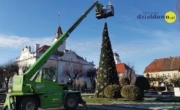 Przed działdowskim Ratuszem stoi już choinka