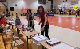Akcja pomocy dla Tosi. Kiermasz licytacje i występy
