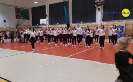 Akcja pomocy dla Tosi. Kiermasz licytacje i występy