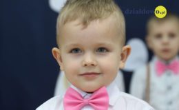 Motylki na Dzień Babci i Dziadka