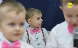 Motylki na Dzień Babci i Dziadka