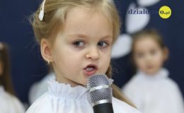 Motylki na Dzień Babci i Dziadka
