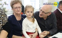 Motylki na Dzień Babci i Dziadka