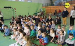 Pomoc dla bezdomnych psów