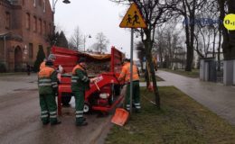 Rusza akcja wiosna