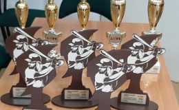 Puchar Starosty Działdowskiego w 8 Walentynkowym Turnieju  Baseballu dla Gdańska. Yankeesi Działdowo na 2 miejscu