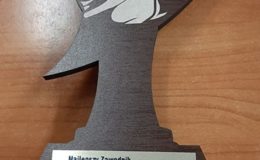 Puchar Starosty Działdowskiego w 8 Walentynkowym Turnieju  Baseballu dla Gdańska. Yankeesi Działdowo na 2 miejscu