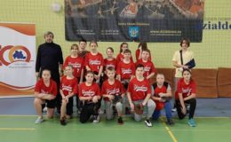 Puchar Starosty Działdowskiego w 8 Walentynkowym Turnieju  Baseballu dla Gdańska. Yankeesi Działdowo na 2 miejscu