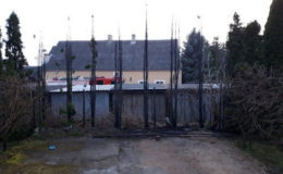 Pożar żywopłotu, budynku gospodarczego oraz suchej trawy